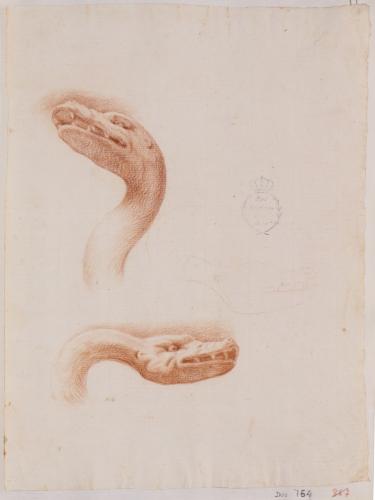 Estudio de dos cabezas de serpiente y ligero apunte de otra