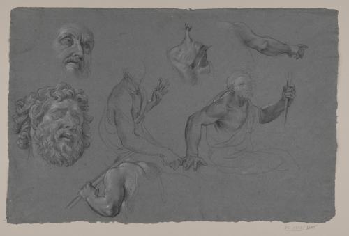 Estudio de torso, brazos, cabeza de anciano, cabeza del Laoconte? y figuras masculinas sentadas