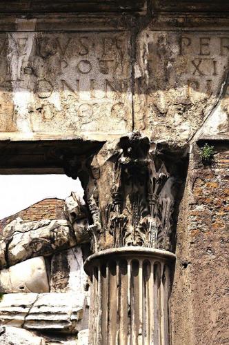 Alzado y sección de los capiteles y sección del pórtico de Octavia [y de Livia] en Roma