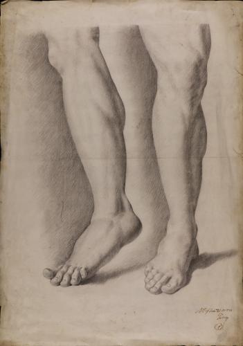 Estudio de la pierna izquierda y derecha del Fauno del Cabrito