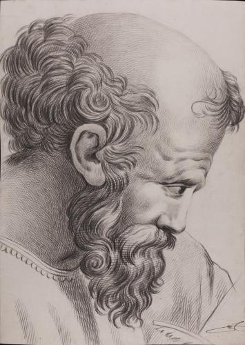 Estudio de la cabeza de Pitágoras de la Escuela de Atenas de Rafael