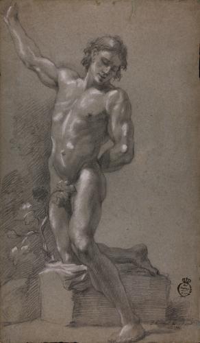 Estudio de modelo masculino desnudo semiarrodillado sobre un pedestal  y el brazo derecho levantado