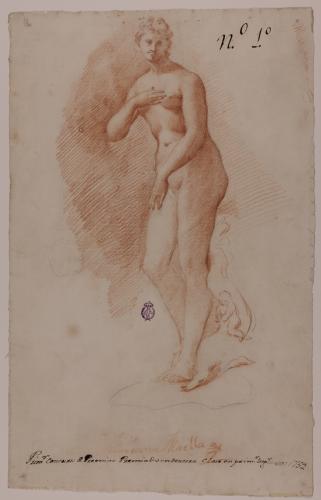 Estudio de la Venus Medicis